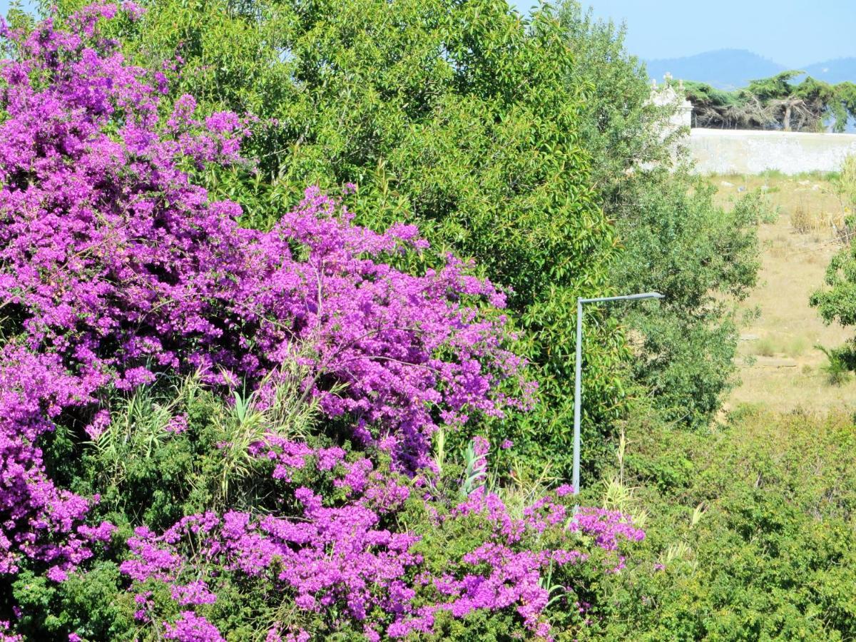 Cais Apartment By Stay In Alentejo فيلا نوفا دو ميلفونتس المظهر الخارجي الصورة
